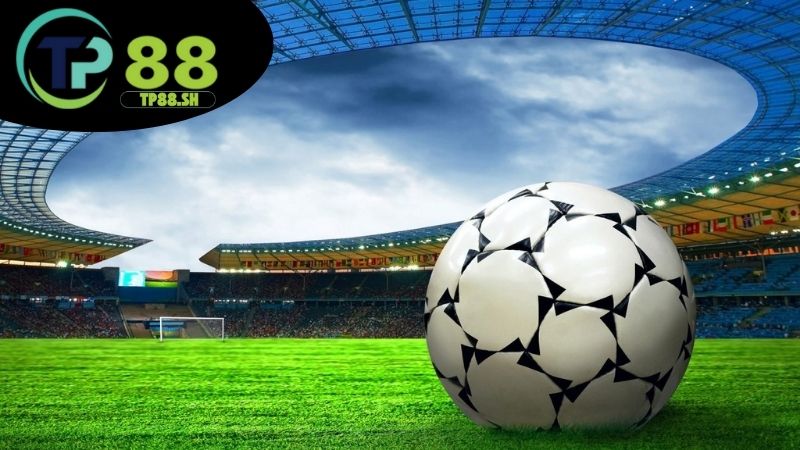 lich-thi-dau-the-thao-tp88