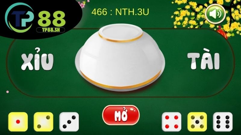 Lưu ý khi chơi xóc đĩa