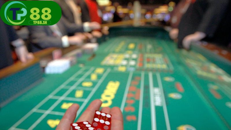 Nhà cái Y6 thu hút với nhiều chương trình khuyến mãi