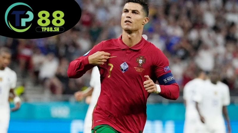 Giới thiệu trực tiếp bóng đá TP88