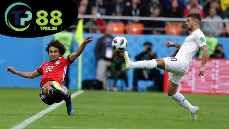 Giới thiệu tỷ lệ cá cược TP88