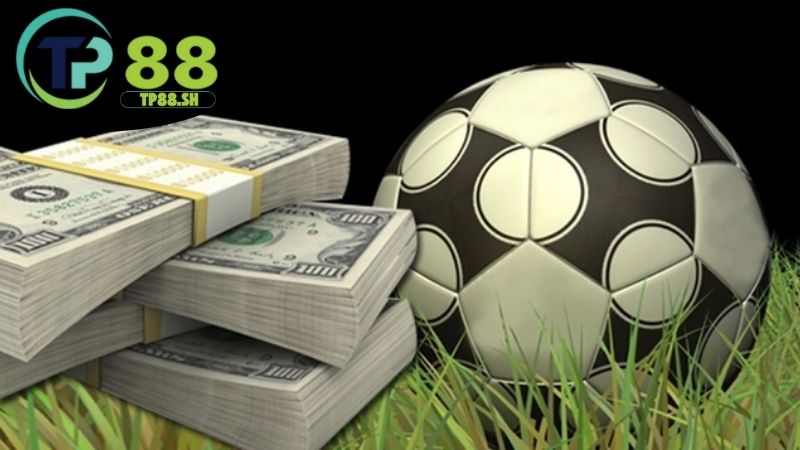 Ưu điểm tỷ lệ cược TP88